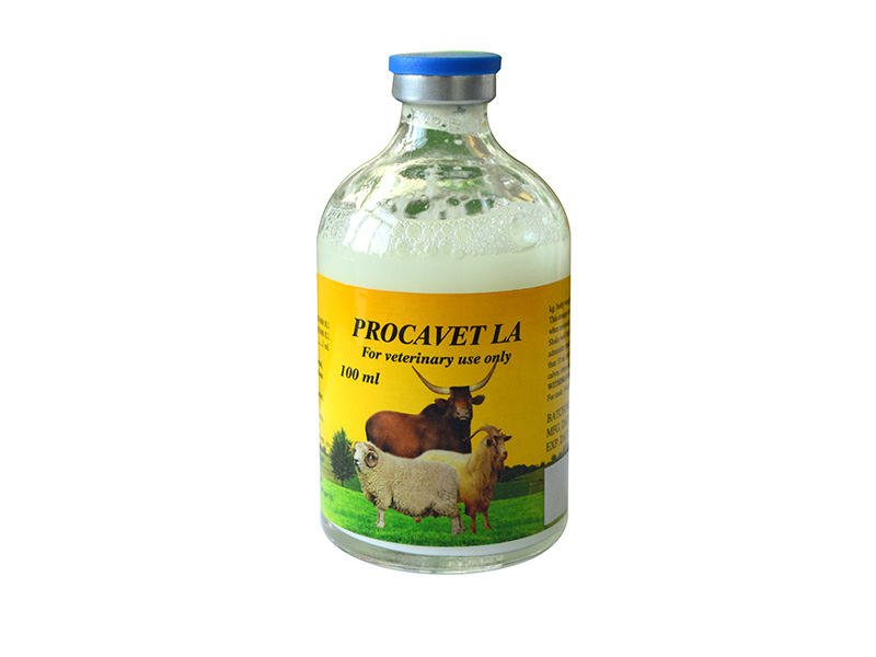 Procaine penicillin