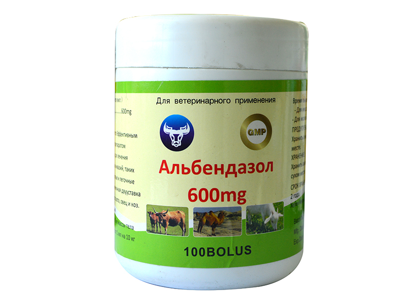 Albendazole 600mg